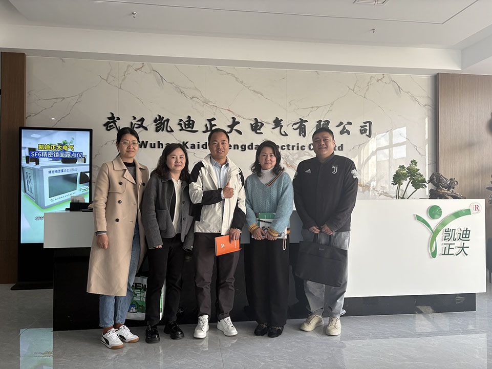 <strong>熱烈歡迎東西湖區(qū)商務(wù)局領(lǐng)導(dǎo)和金銀湖街道工作人員走訪我司</strong>